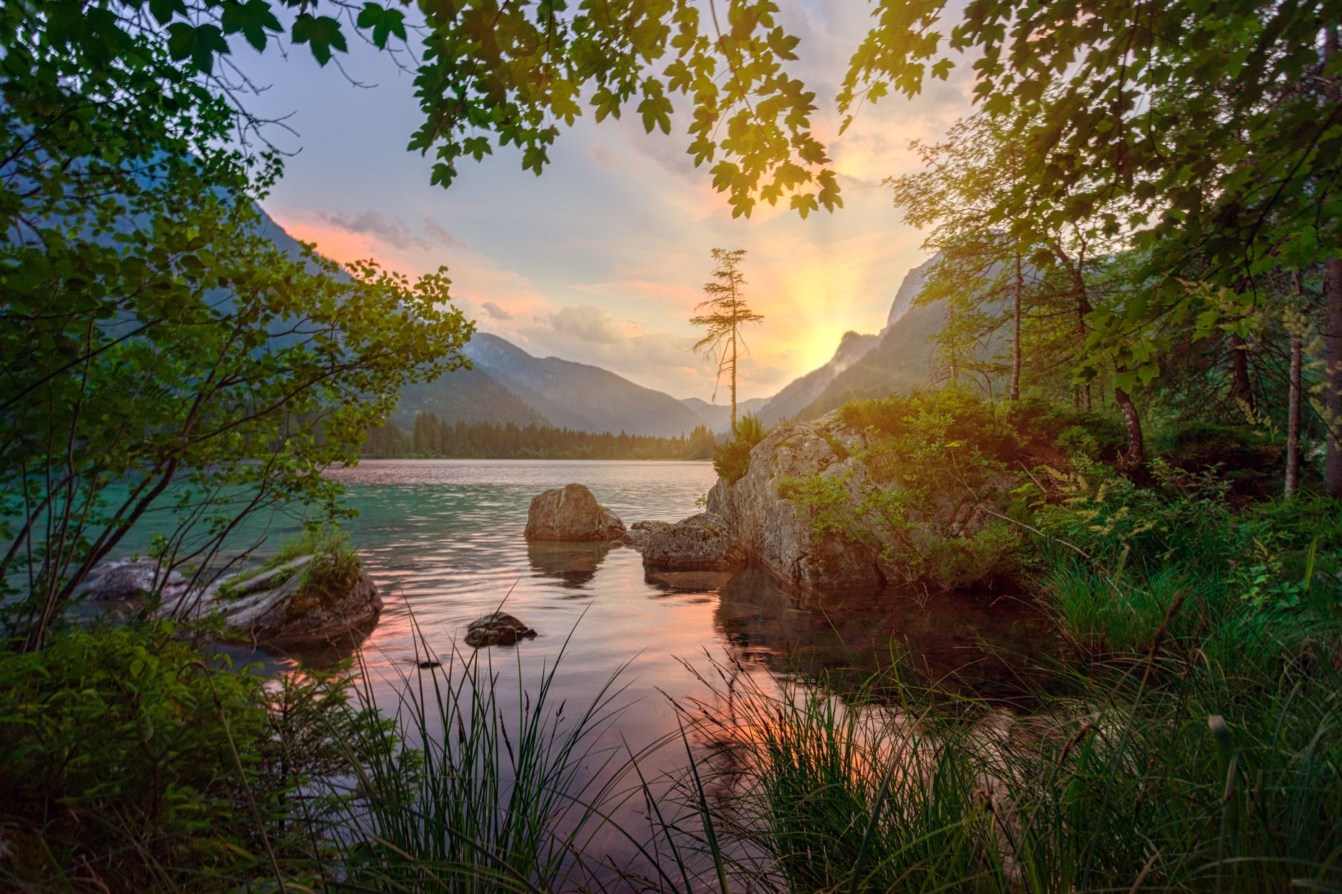 Nature’s beauty boosts mental wellbeing