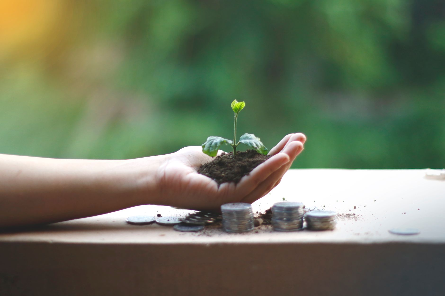 Australian Ethical profit soars as funds reach record