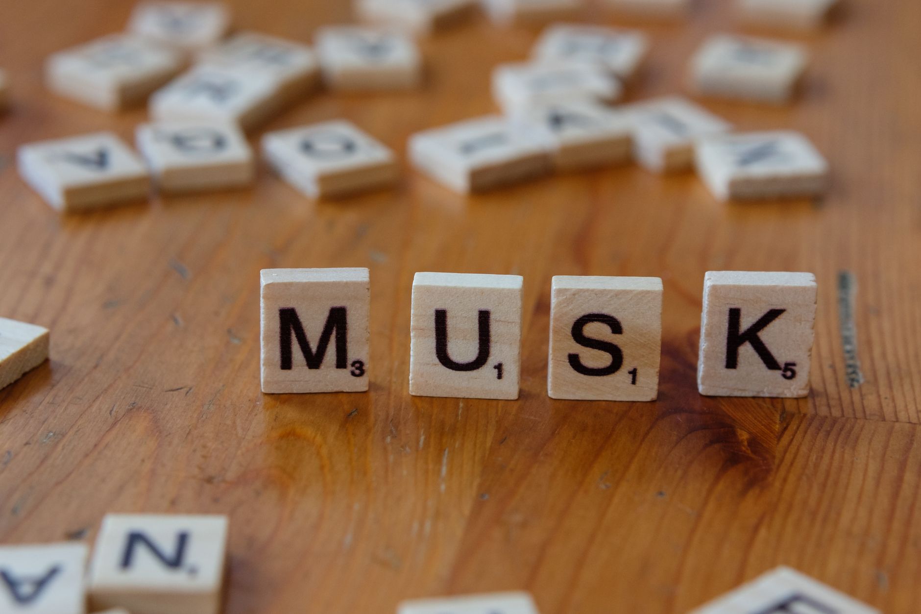 Lawmaker sues Musk over explicit images