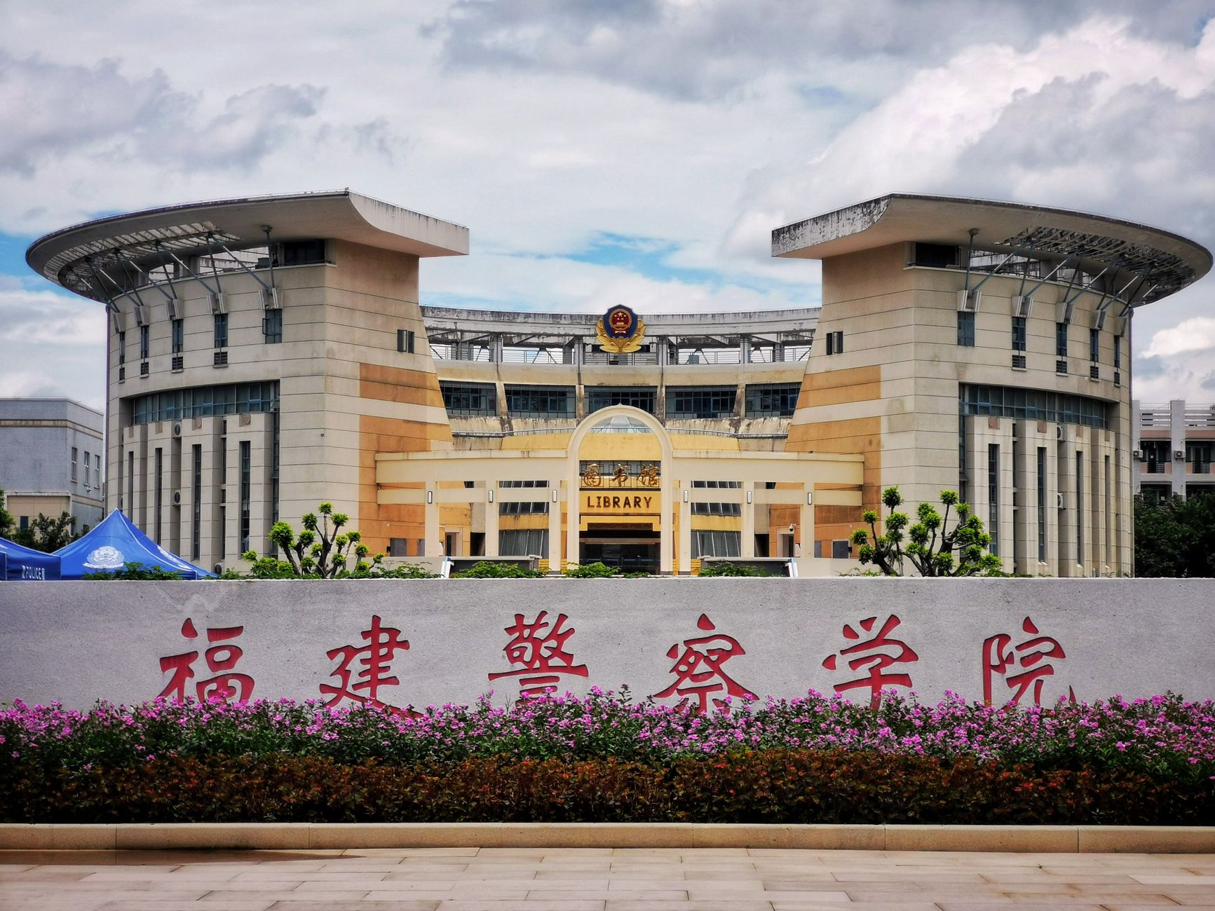 Chinese Students Turn to AI for College Choices