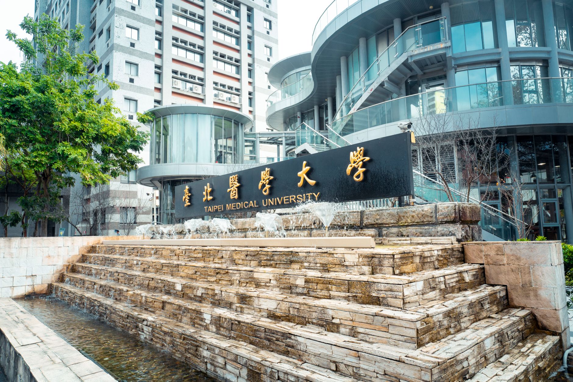 Chinese Students Rely on AI for College Choices