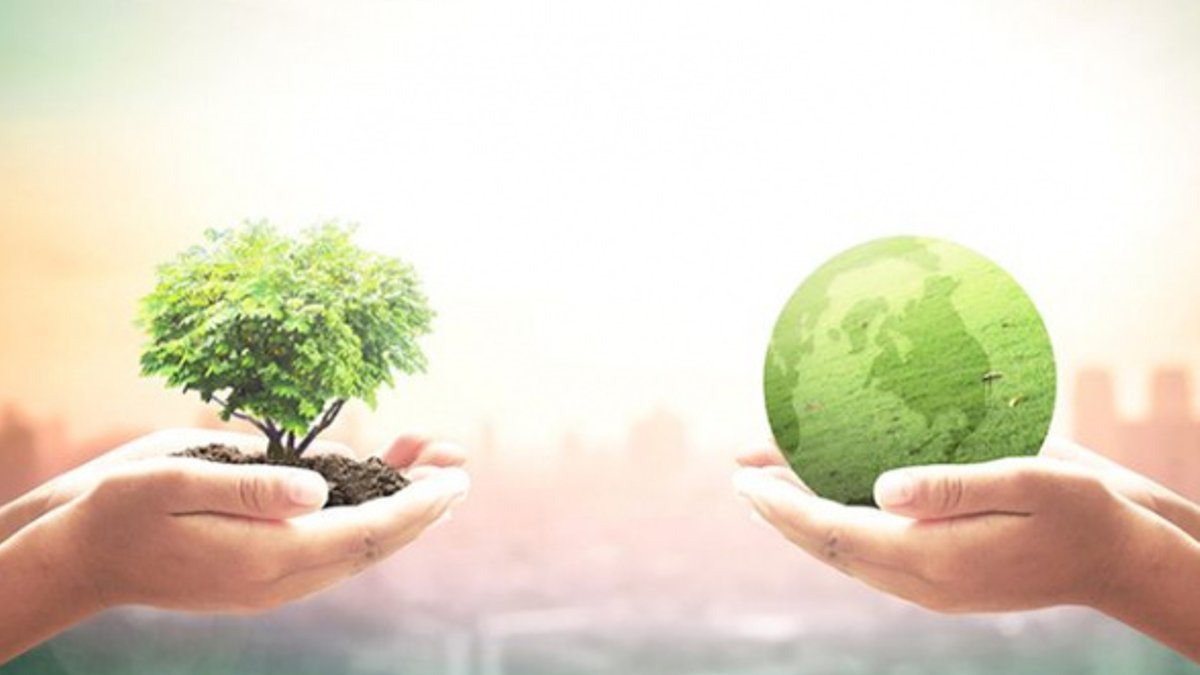 Can ethics be taught in schools Can ethics be taught in schools - teach ethics