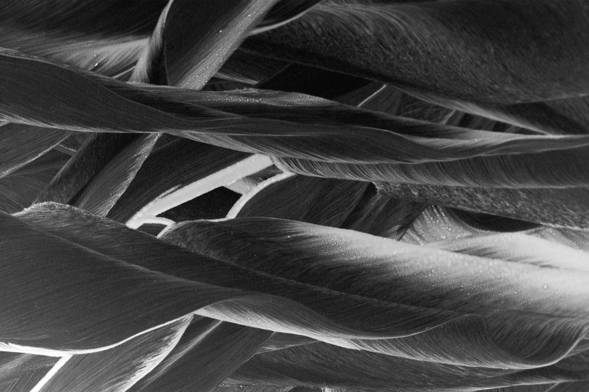 Nandina REM explores recycled carbon fibre in space tech