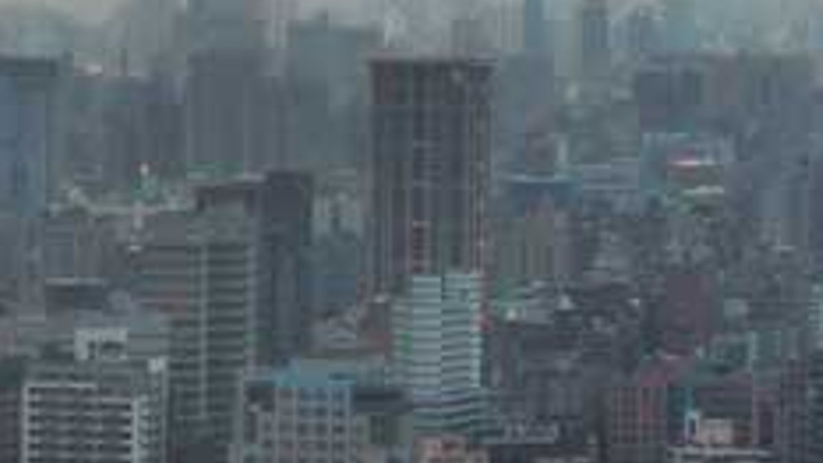 Air Pollution Linked to Mental, Physical Illness