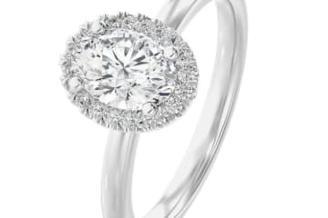 Hazelwood’s Sparkling Secrets: Where Love Meets Luxury