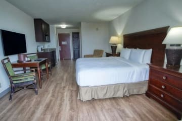 Why Our Hotel Is Ideal for Couples, Families, and Solo Travelers Alike