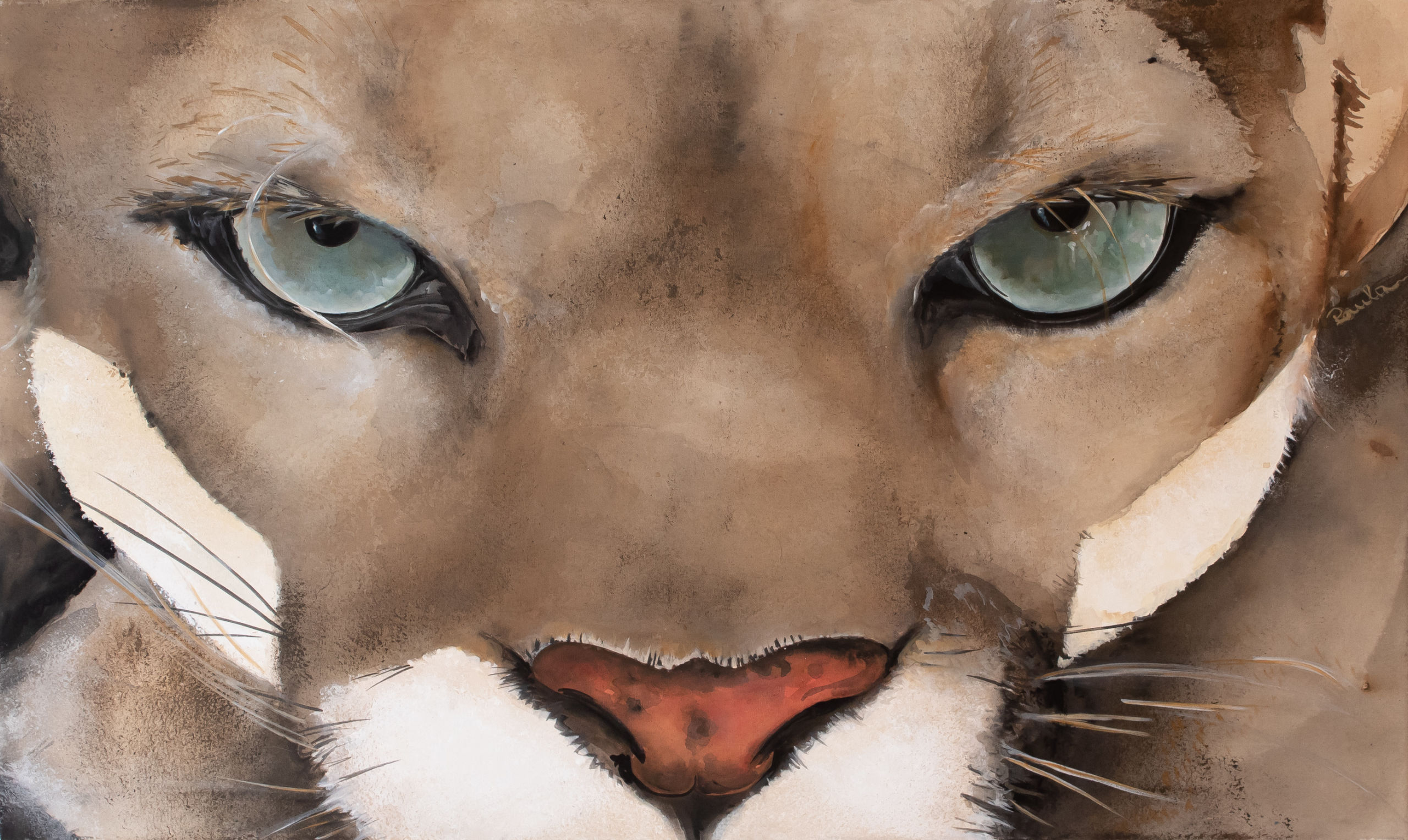 Mirada de puma, 2023
