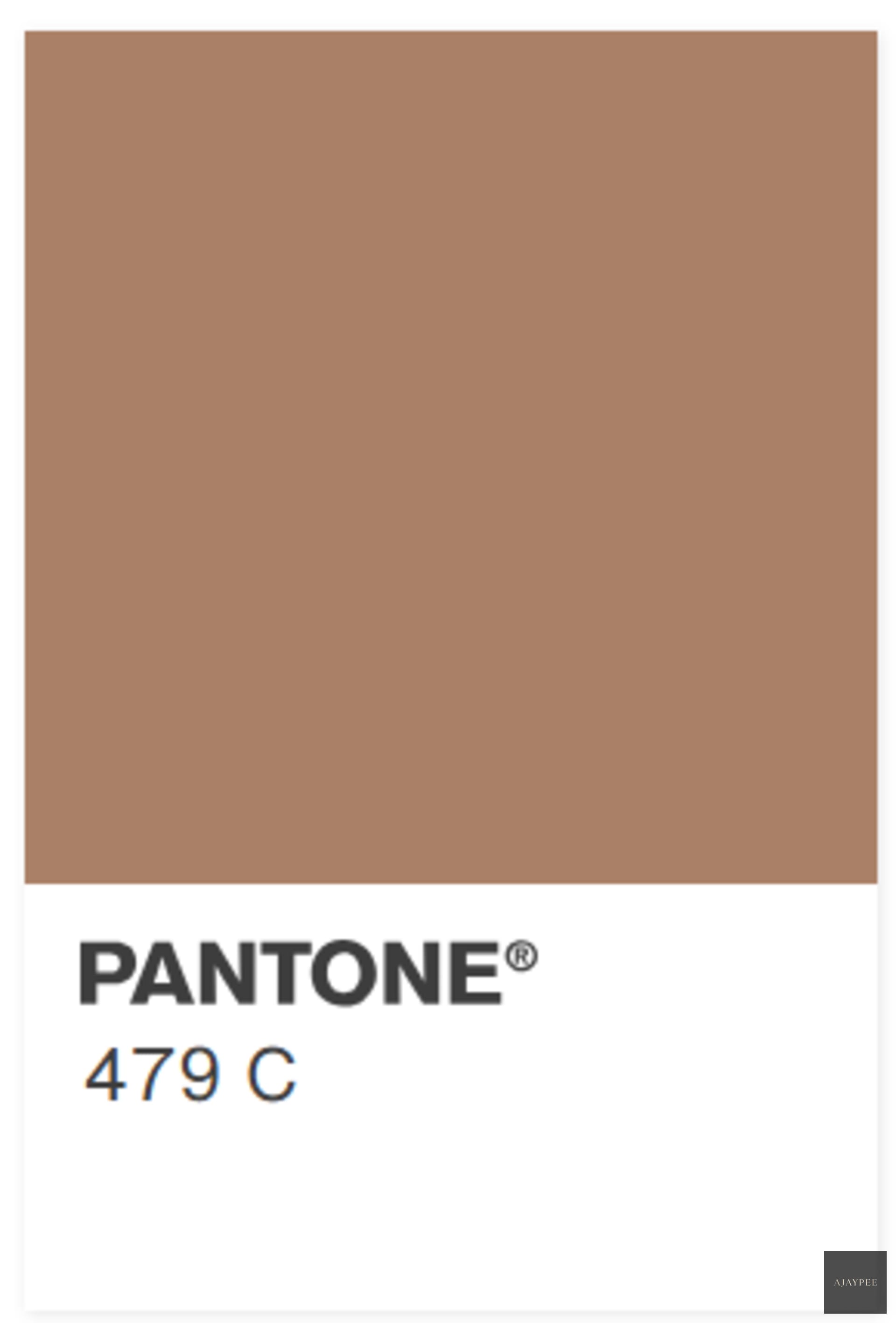 Viscose HandKnotted Carpet_ Parallel Wrap Mocha Mist - Cotton - Hand Knotted - Ajaypee Carpets (Thumbnail 3)