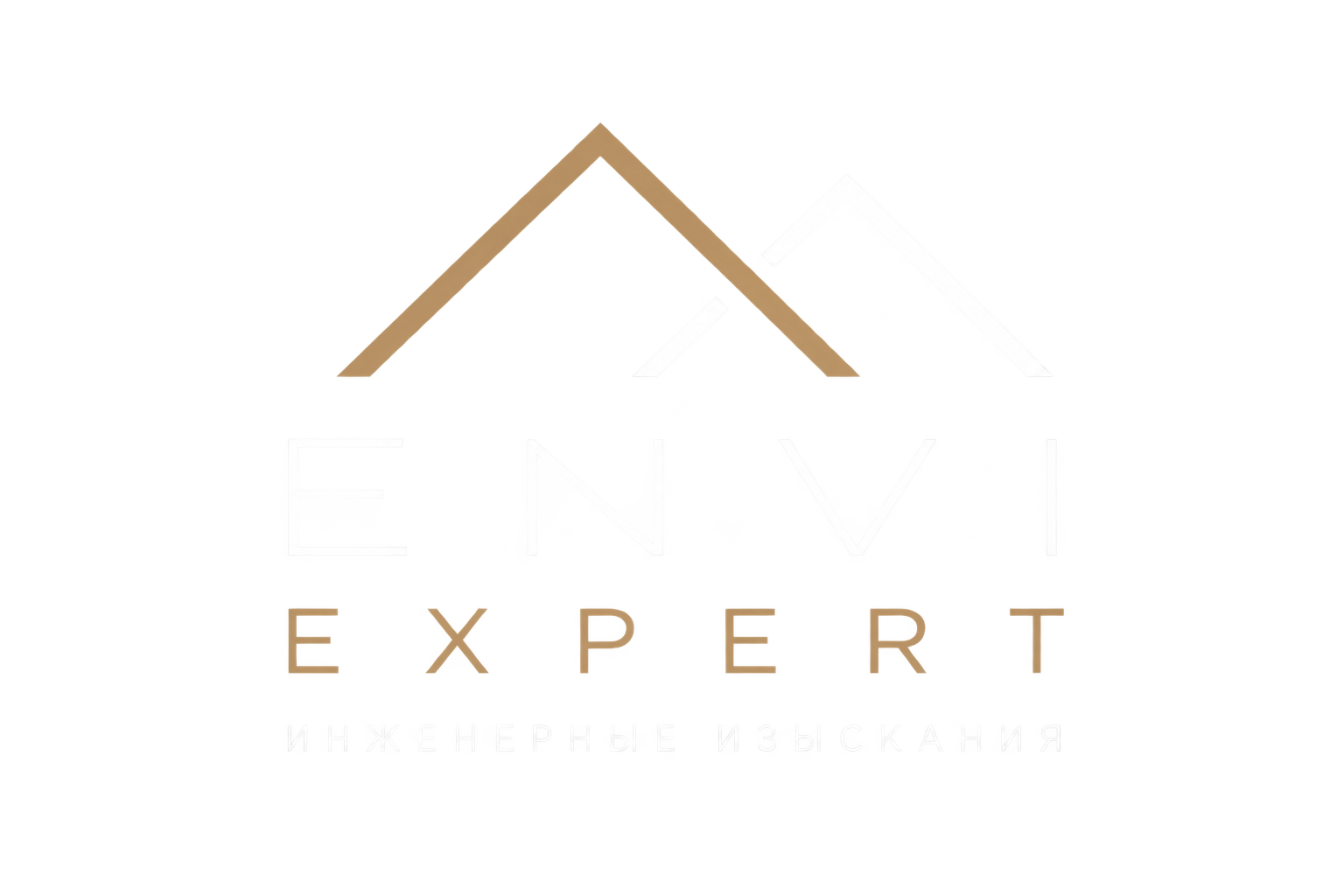 ENVI EXPERT