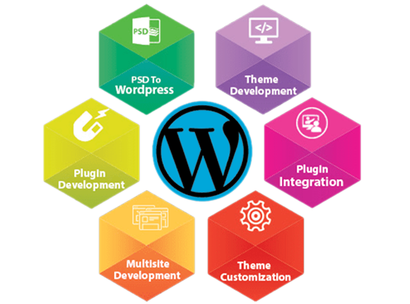 WordPress & CMS Development