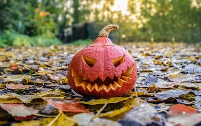 Paris : la Compagnie des Bateaux-Mouches offre une croisière d'Halloween aux enfants déguisés