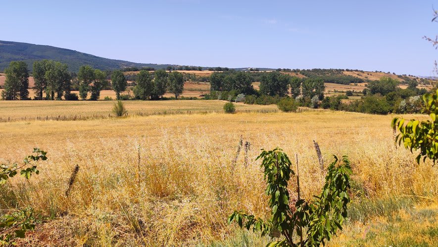 Agriculture : en Aveyron, la déception des exploitants face aux aides gouvernementales