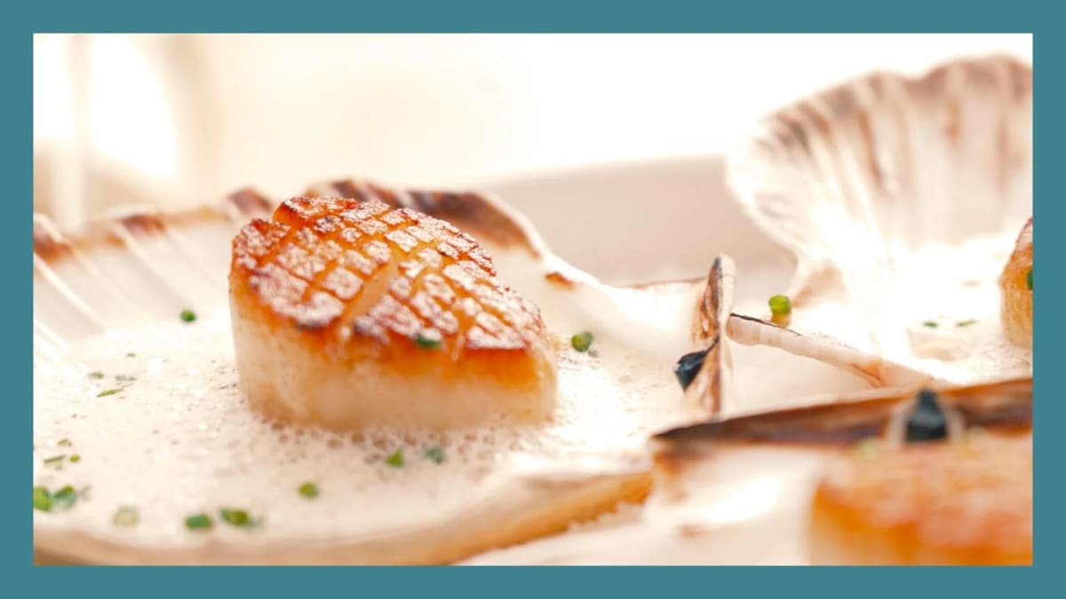 Gastronomie : la coquille Saint-Jacques à l'honneur de la saison culinaire