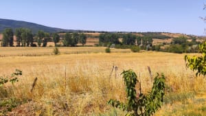 Agriculture : en Aveyron, la déception des exploitants face aux aides gouvernementales