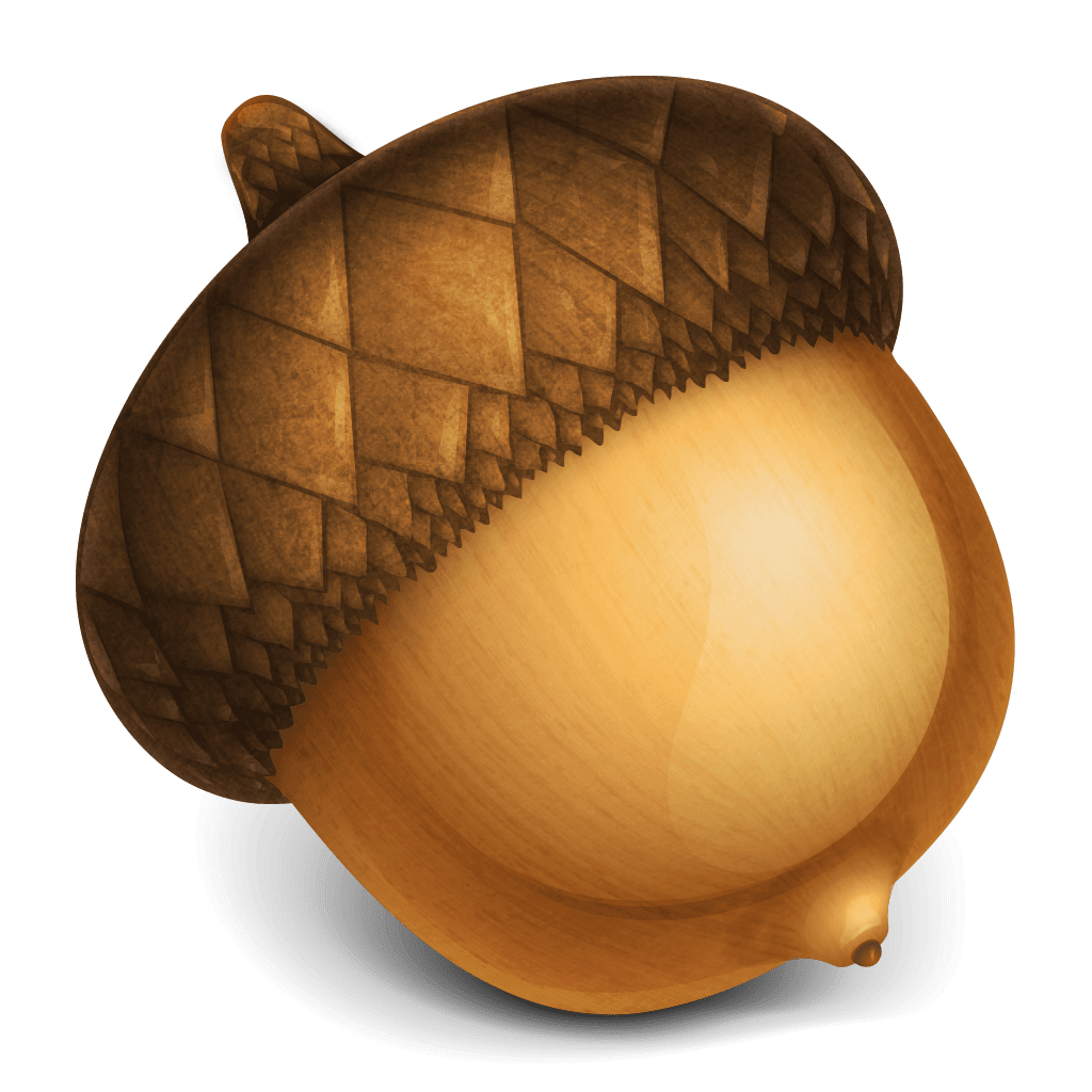Acorn 8.6.2