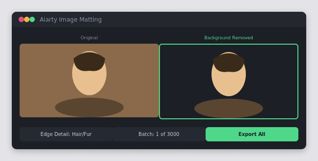 Aiarty Image Matting 2.7