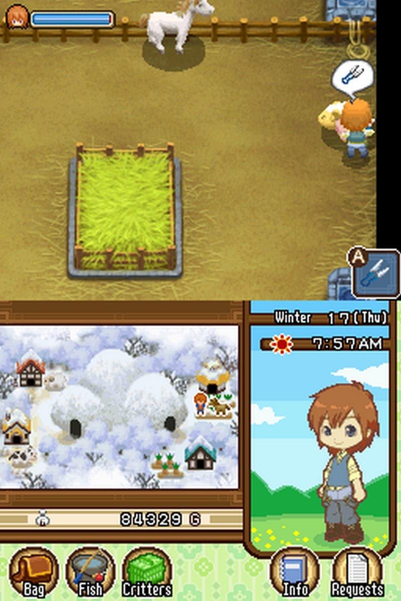 Harvest Moon DS |ROM-DOWNLOAD - Screenshot 3