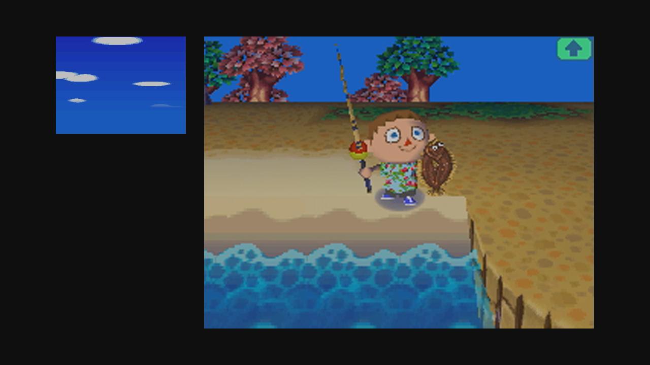 Animal Crossing: Wild World |ROM Download - Screenshot 1