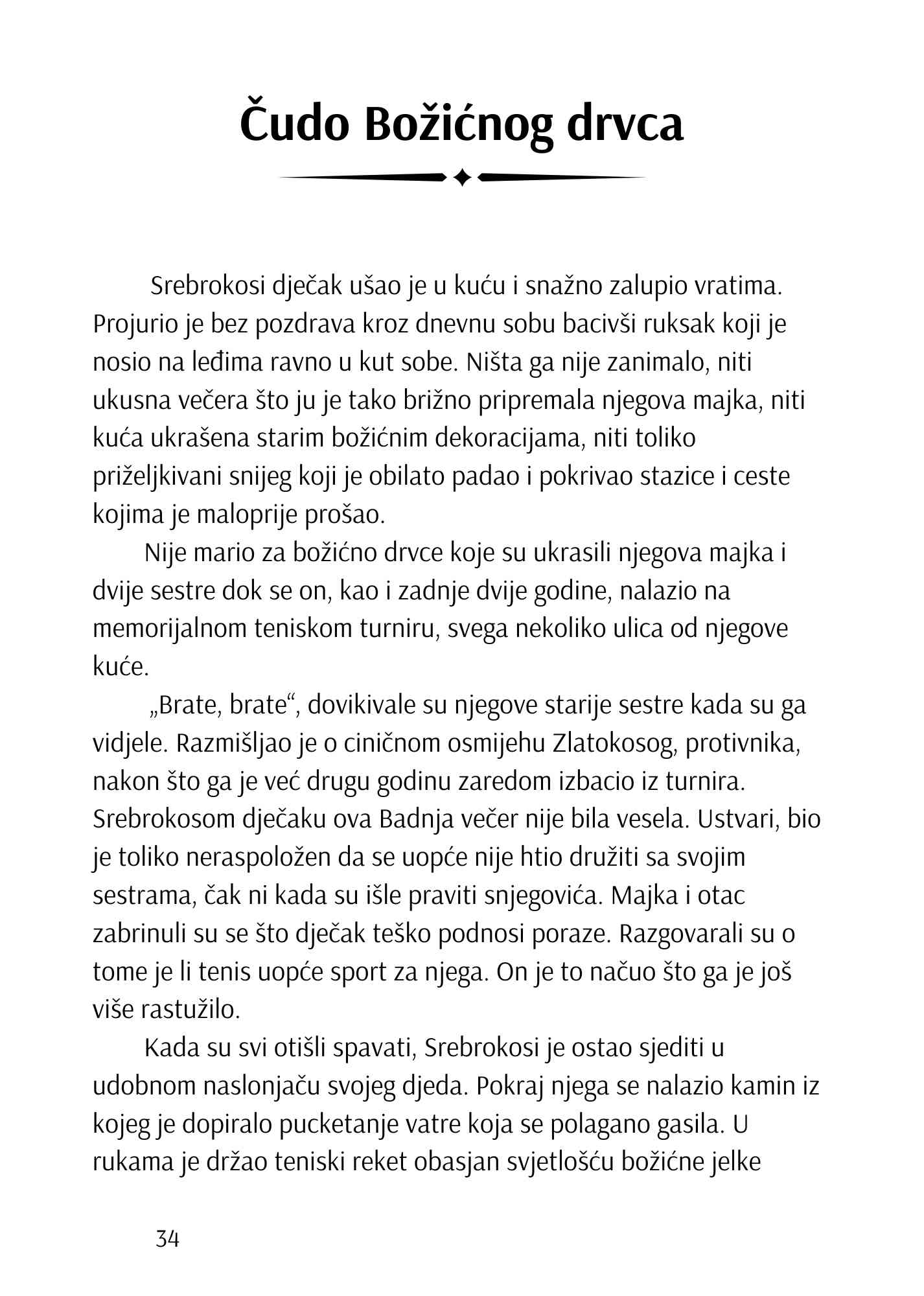 Srebrokosi otkriva čarobne zemlje — slika 5