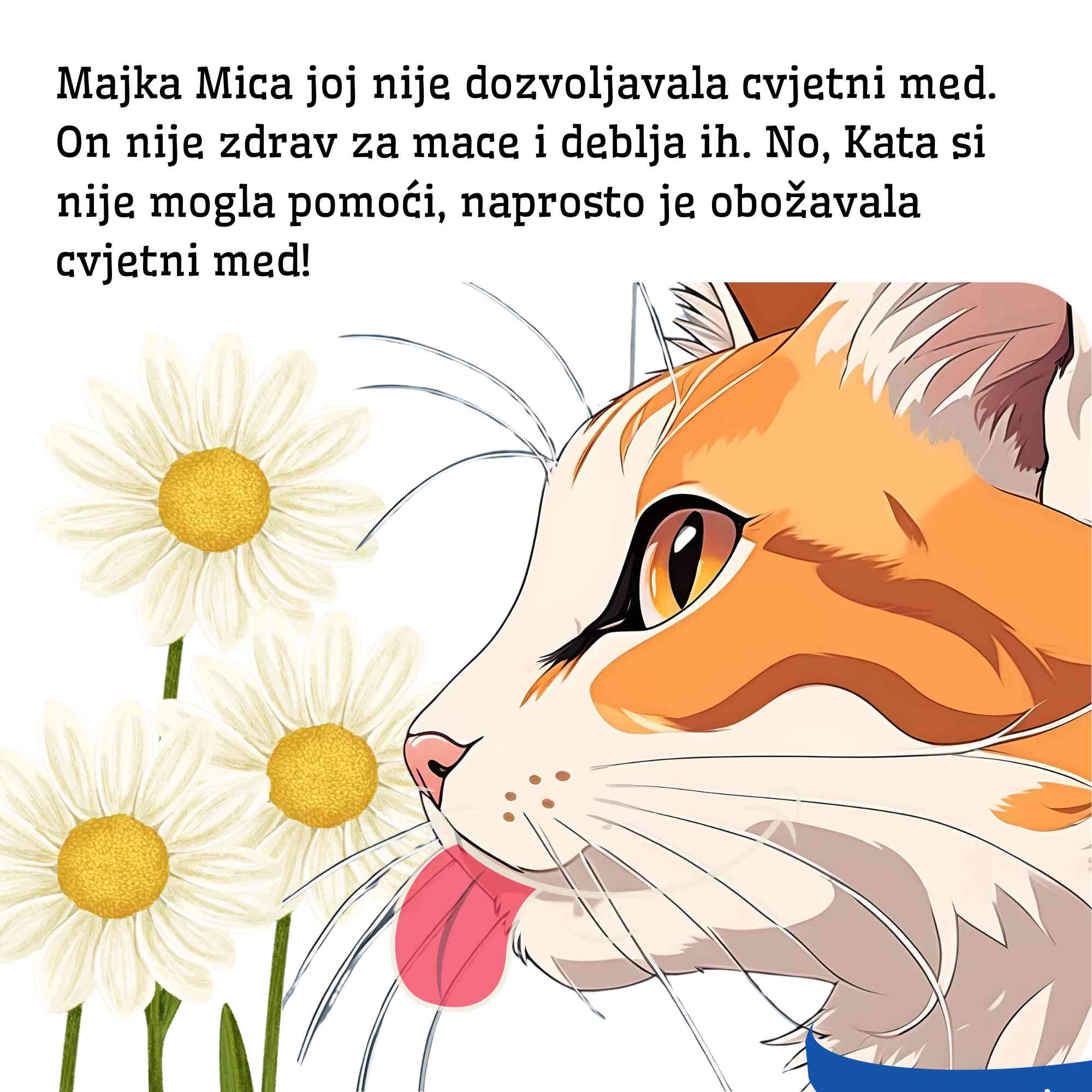 Šašava mačka — slika 3