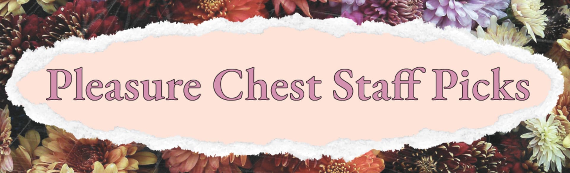 Pleasure Chest Staff Picks