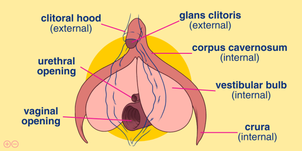 Babeland: Ultimate Guide to Clitoral Stimulation