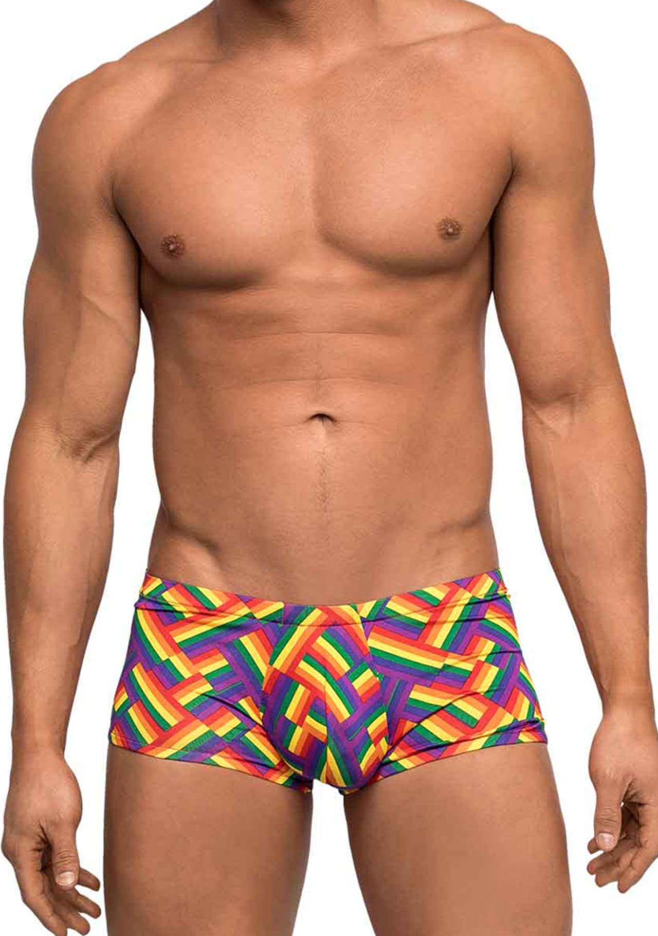 Pride Fest Mini Short - Medium