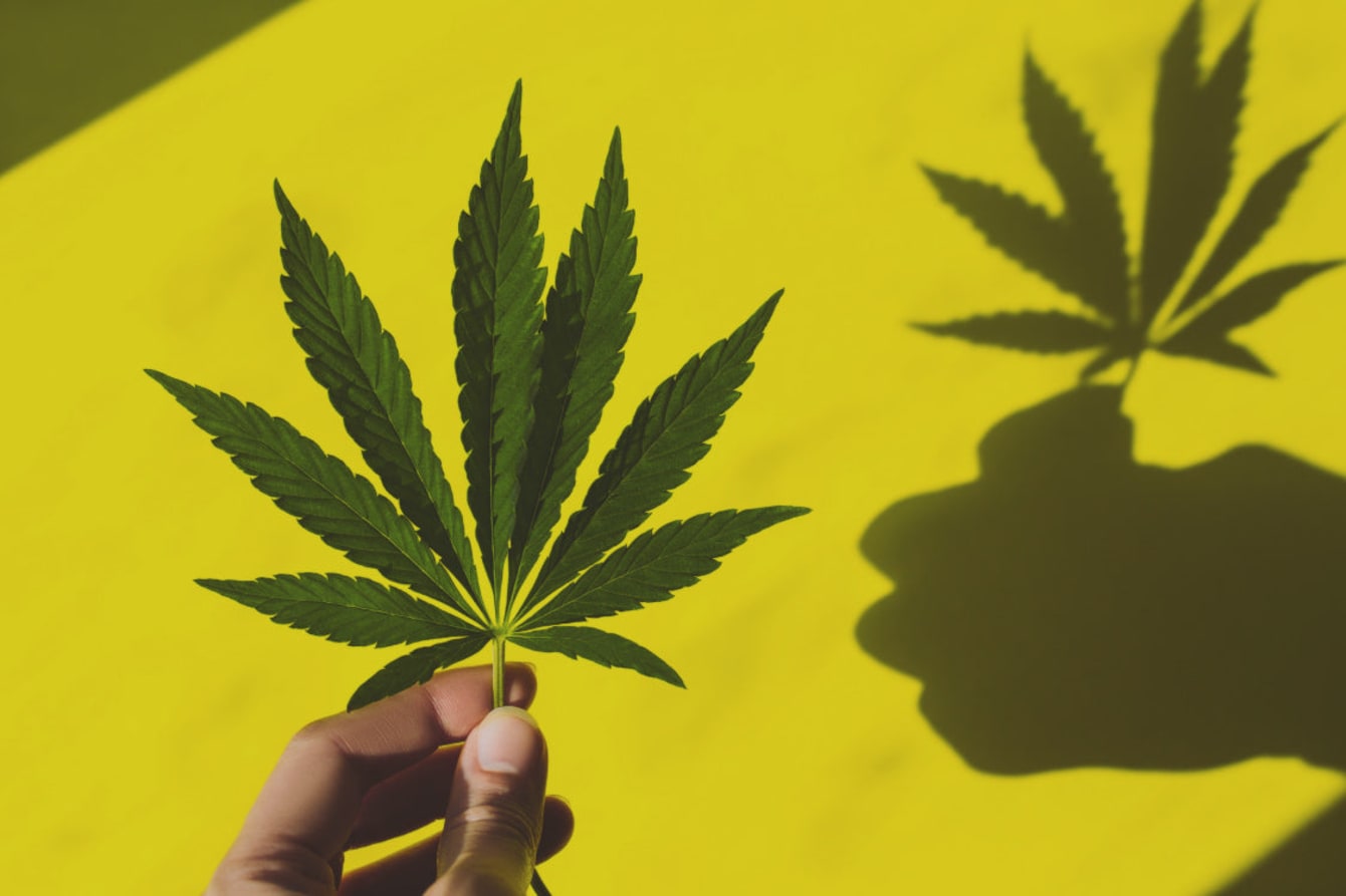 SEX & CANNABIS: AWAKEN YOUR PLEASURE