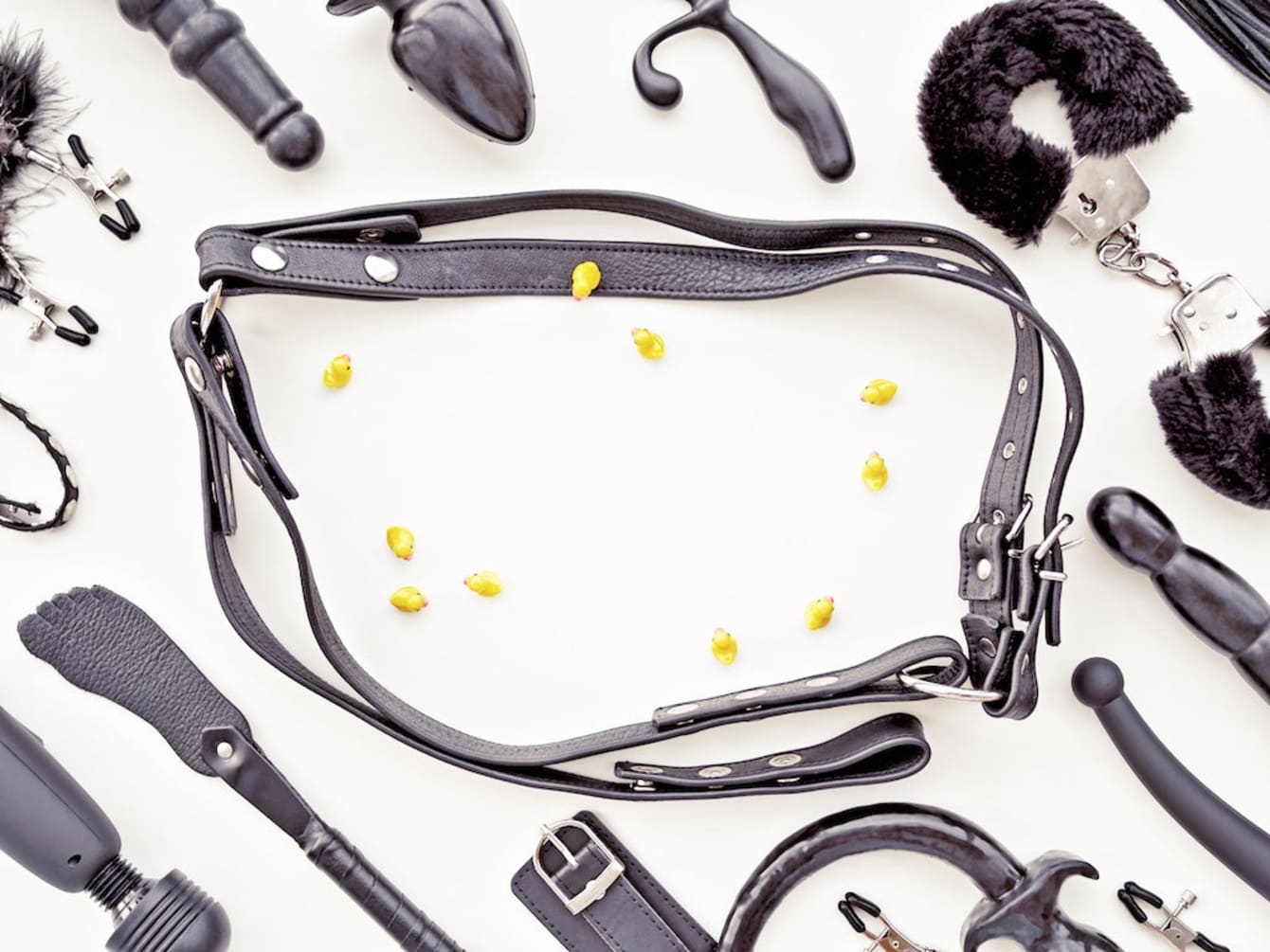 A Beginner Guide to Harnesses: Understanding Body Straps