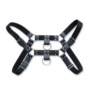 Body Harness