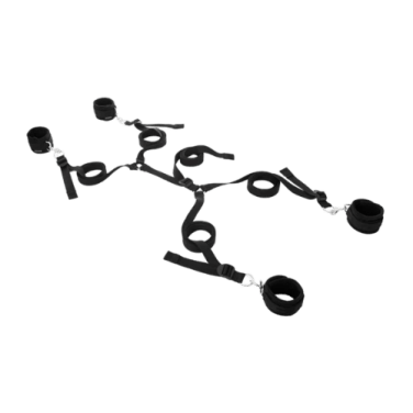 Bed Restraint Systems