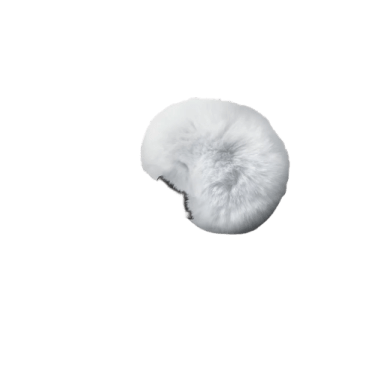 Animal Tails