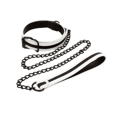 Collars and Leashes