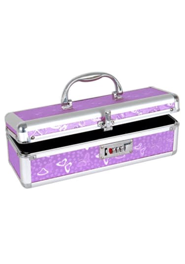 Lockable Toy Chest Storage