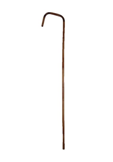 Bamboo Cane