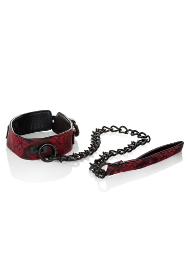 Scandal Collar with Leash