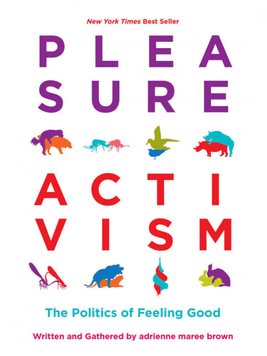 Pleasure Activism