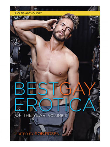 Best Gay Erotica of the Year Vol 3