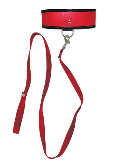 Red Leash and Collar