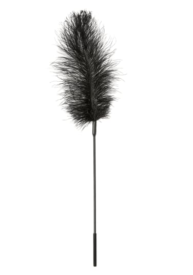 Ostrich Feather Tickler