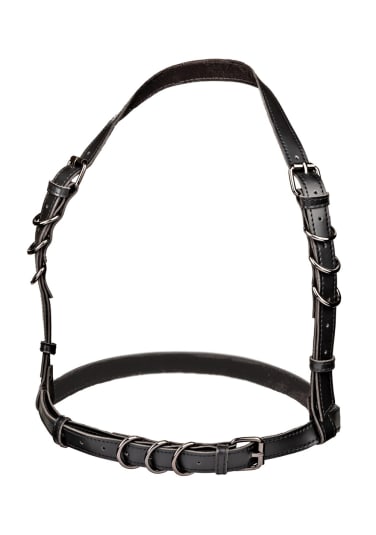 Euphoria Collection Halter Buckle Harness