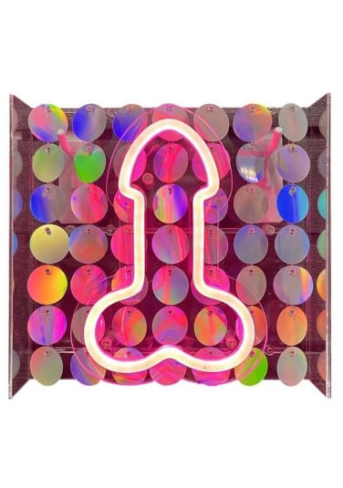 Neon Light Up Penis Sign