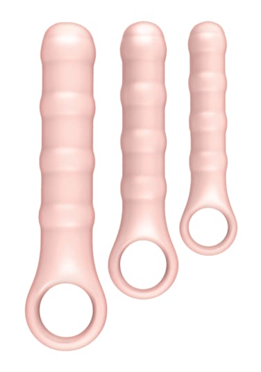 Ass-Sation Anal Wand Training Kit