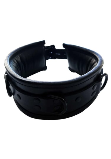 Black Leather Padded Collar with Black Hardware