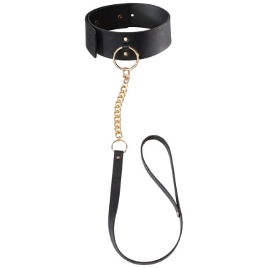 Maze Choker and Leash