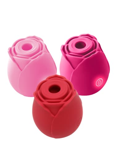 Radiant Rose Bouquet Bundle