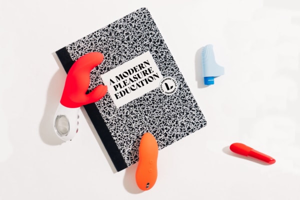 LOVERS PLEASURE UNIVERSITY: MODERN PLEASURE EDUCATION