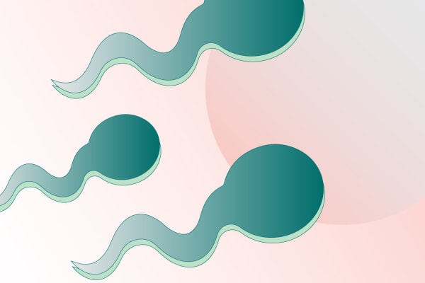 THE PRESENT & FUTURE OF MALE BIRTH CONTROL