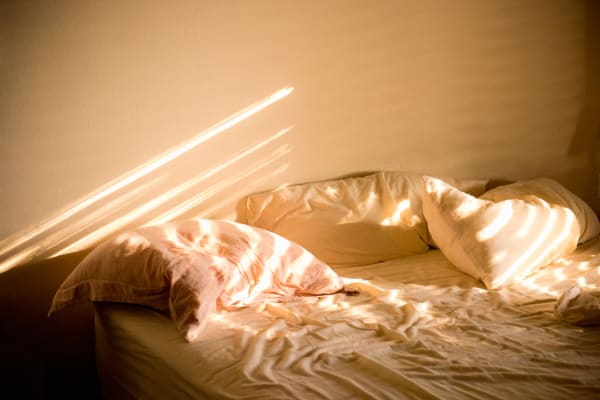 THE INVISIBLE PANDEMIC: THE RISE OF DOMESTIC VIOLENCE DURING COVID