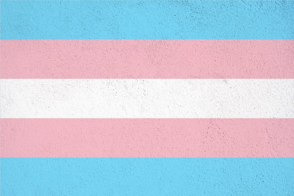 THE POLITICAL BILLS IMPACTING PEOPLE WHO ARE TRANSGENDER
